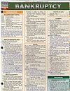 Barcharts Bankruptcy 4 Page Laminated Chart(Buy 3 get 1 free!)Price Adjusted at The Law Bookstore